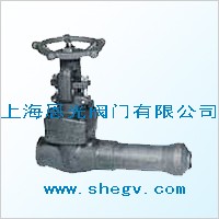 �����L�y�w�y�T