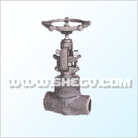 ����ʽ��ֹ�y