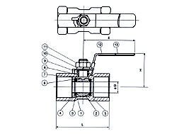 Q11FһƬʽ���y