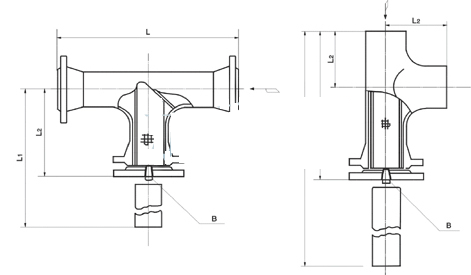 T���^�V��